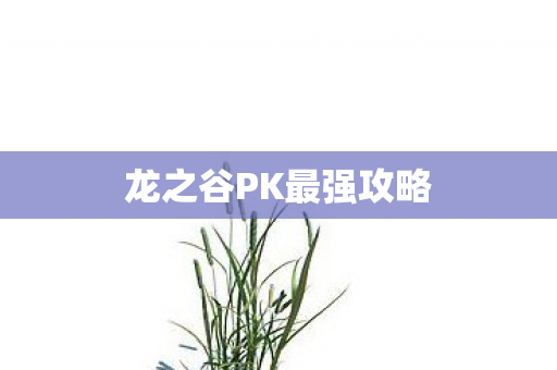 龙之谷PK最强攻略