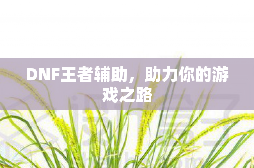 DNF王者辅助，助力你的游戏之路