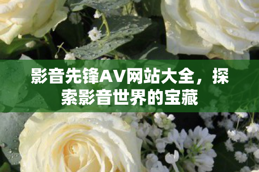 影音先锋AV网站大全，探索影音世界的宝藏