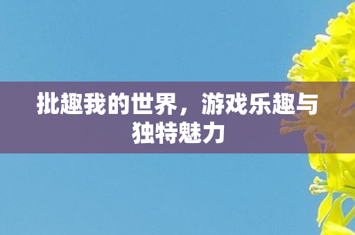 批趣我的世界,游戏乐趣与独特魅力 批趣我的世界,游戏乐趣与独特魅力