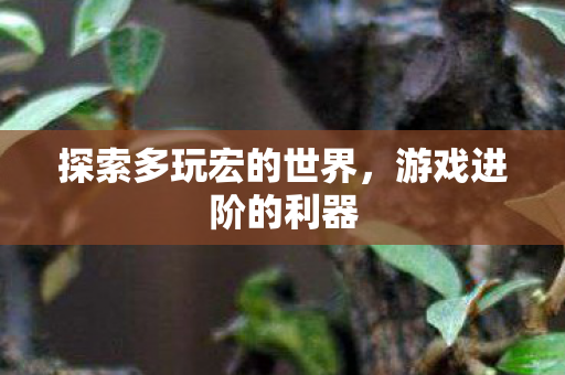 探索多玩宏的世界，游戏进阶的利器