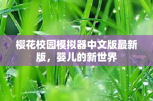 樱花校园模拟器中文版最新版，婴儿的新世界