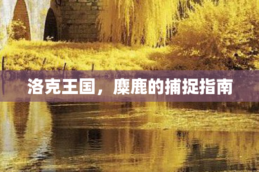 洛克王国,麋鹿的捕捉指南 洛克王国,麋鹿的捕捉指南