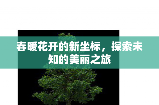 春暖花开的新坐标,探索未知的美丽之旅 春暖花开的新坐标,探索未知的美丽之旅
