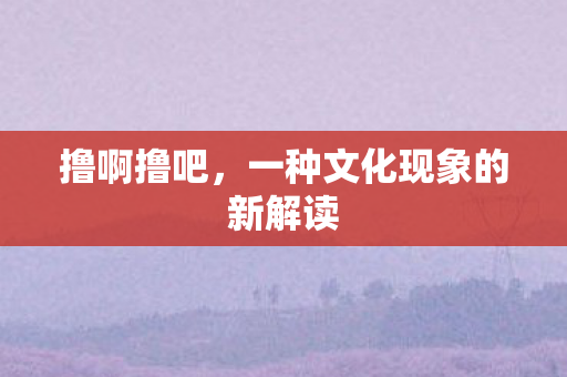 撸啊撸吧，一种文化现象的新解读