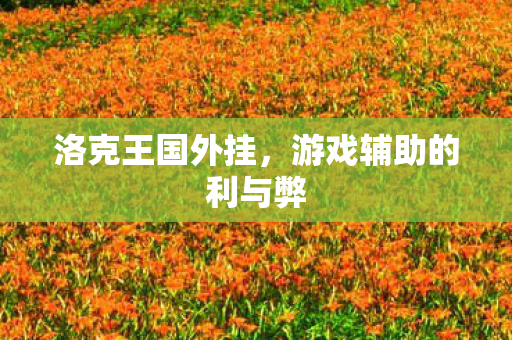 洛克王国外挂，游戏辅助的利与弊