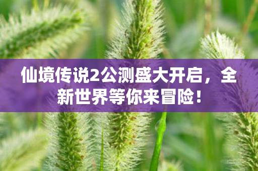 仙境传说2公测盛大开启，全新世界等你来冒险！