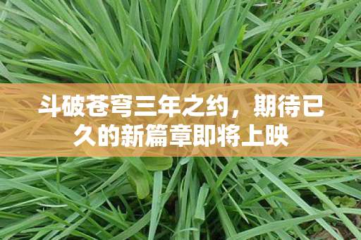 斗破苍穹三年之约，期待已久的新篇章即将上映