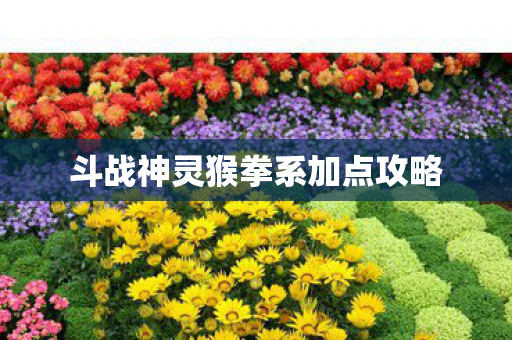 斗战神灵猴拳系加点攻略