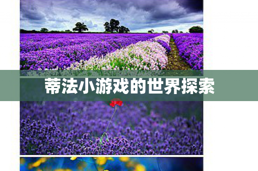 蒂法小游戏的世界探索 蒂法小游戏的世界探索