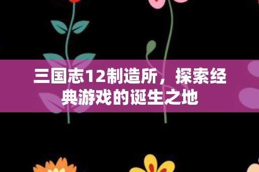 三国志12制造所，探索经典游戏的诞生之地