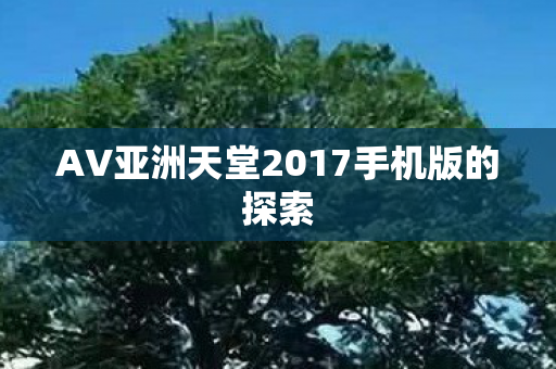 AV亚洲天堂2017手机版的探索