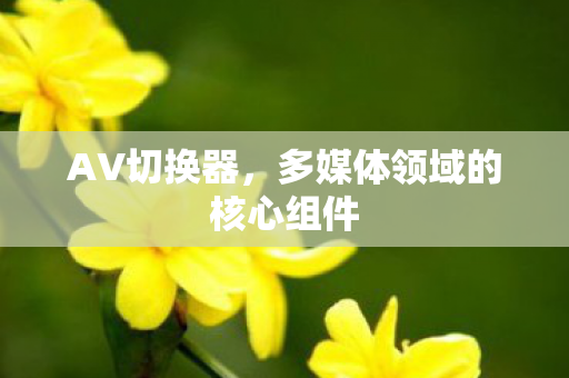 AV切换器，多媒体领域的核心组件