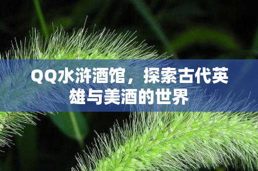 QQ水浒酒馆，探索古代英雄与美酒的世界