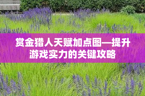 赏金猎人天赋加点图—提升游戏实力的关键攻略