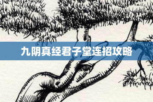 九阴真经君子堂连招攻略