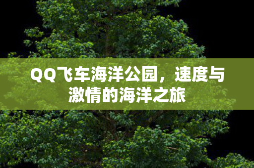 QQ飞车海洋公园，速度与激情的海洋之旅