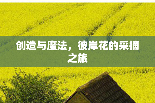 创造与魔法，彼岸花的采摘之旅