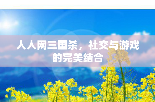 人人网三国杀，社交与游戏的完美结合