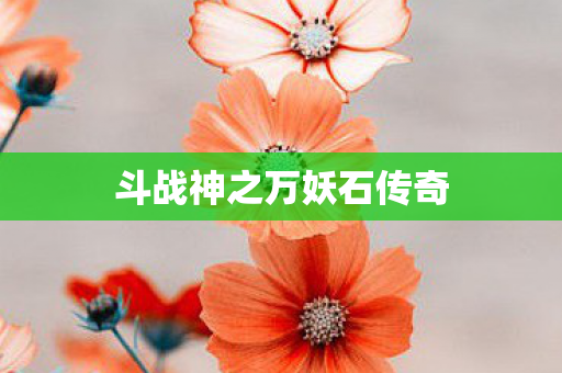 斗战神之万妖石传奇