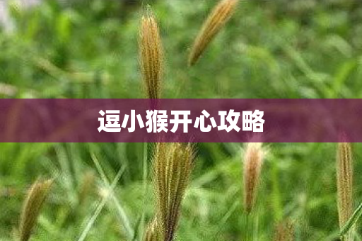 逗小猴开心攻略