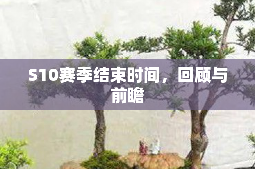 S10赛季结束时间，回顾与前瞻