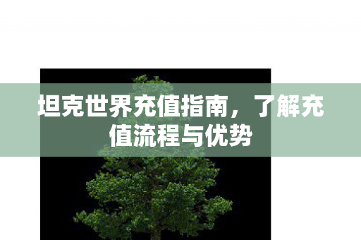 坦克世界充值指南，了解充值流程与优势