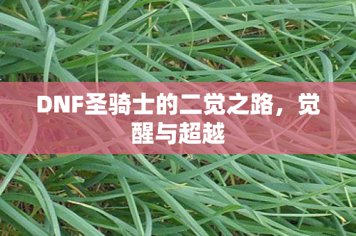 DNF圣骑士的二觉之路，觉醒与超越