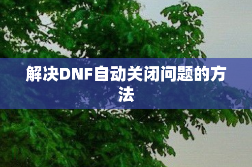 解决DNF自动关闭问题的方法