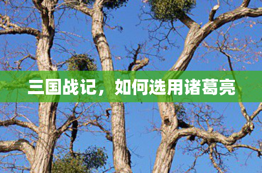 三国战记，如何选用诸葛亮