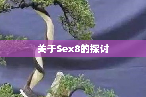 关于Sex8的探讨