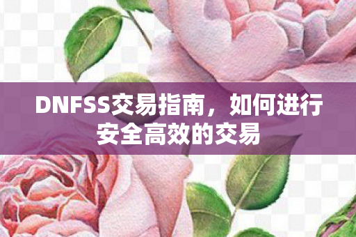 DNFSS交易指南，如何进行安全高效的交易