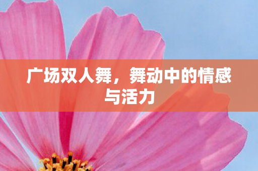 广场双人舞，舞动中的情感与活力
