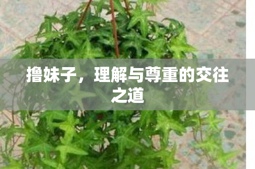 撸妹子，理解与尊重的交往之道