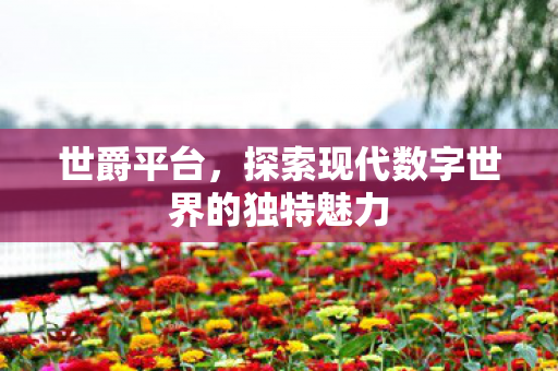 世爵平台,探索现代数字世界的独特魅力 世爵平台,探索现代数字世界的独特魅力