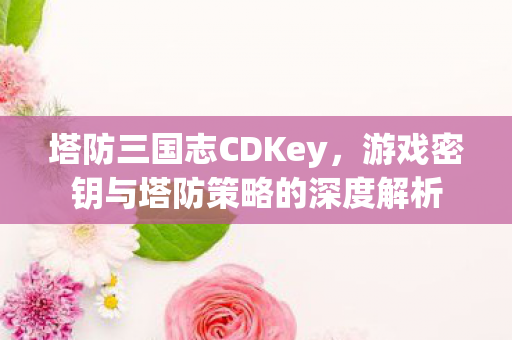 塔防三国志CDKey，游戏密钥与塔防策略的深度解析