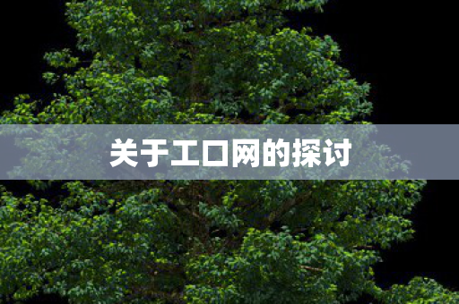 关于工口网的探讨 关于工口网的探讨