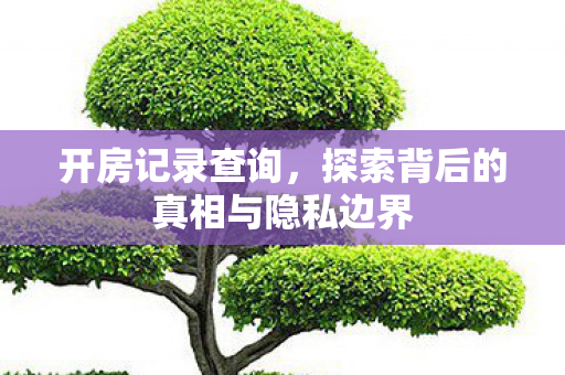 开房记录查询，探索背后的真相与隐私边界