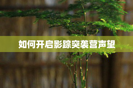 如何开启影踪突袭营声望