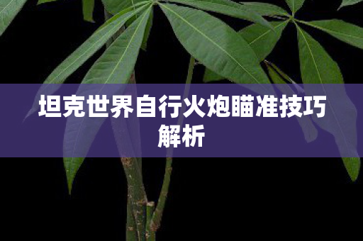 坦克世界自行火炮瞄准技巧解析