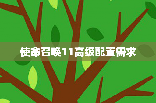 使命召唤11高级配置需求 使命召唤11高级配置需求