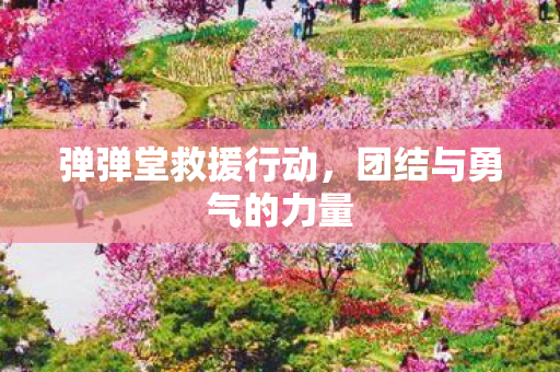 弹弹堂救援行动,团结与勇气的力量 弹弹堂救援行动,团结与勇气的力量