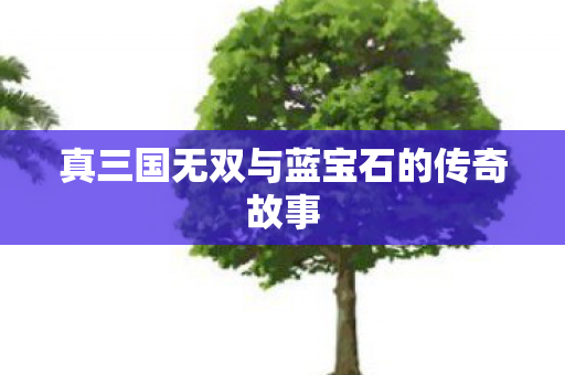 真三国无双与蓝宝石的传奇故事
