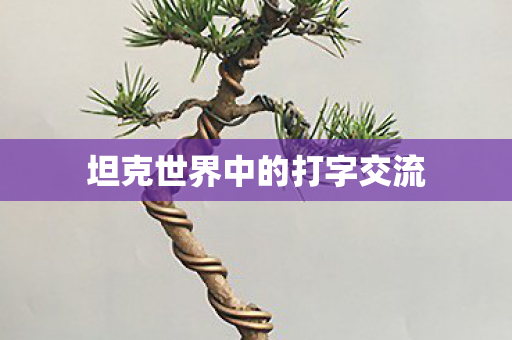 坦克世界中的打字交流 坦克世界中的打字交流