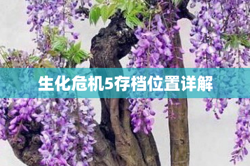 生化危机5存档位置详解