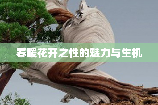 春暖花开之性的魅力与生机