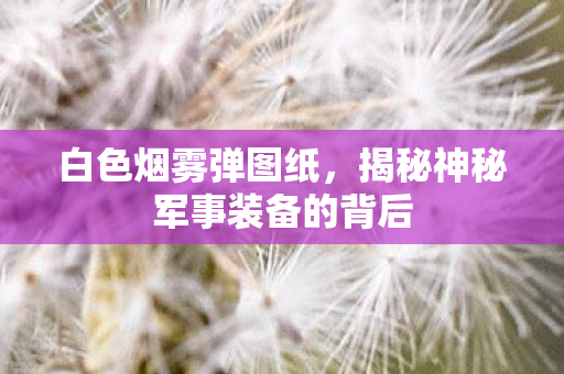 白色烟雾弹图纸,揭秘神秘军事装备的背后 白色烟雾弹图纸,揭秘神秘军事装备的背后