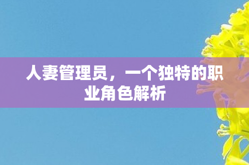 人妻管理员，一个独特的职业角色解析