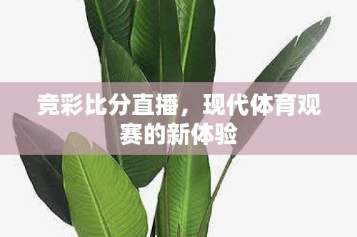 竞彩比分直播，现代体育观赛的新体验