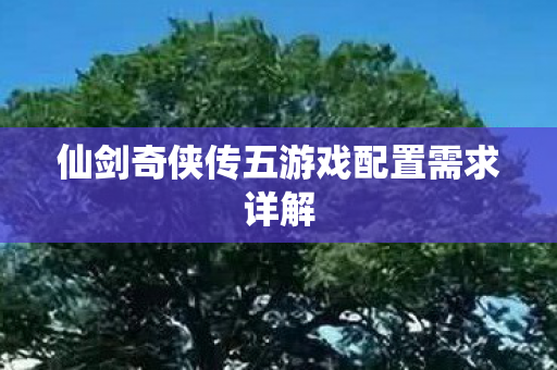 仙剑奇侠传五游戏配置需求详解
